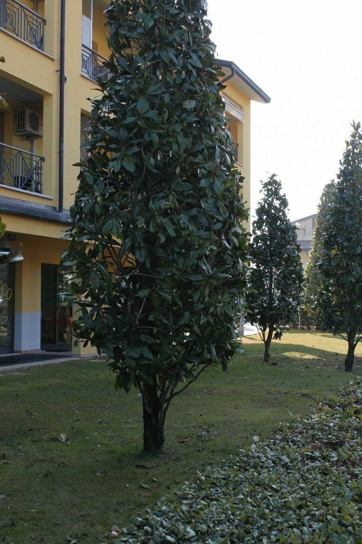Sarno Apartments Caravaggio Sirmione Ngoại thất bức ảnh